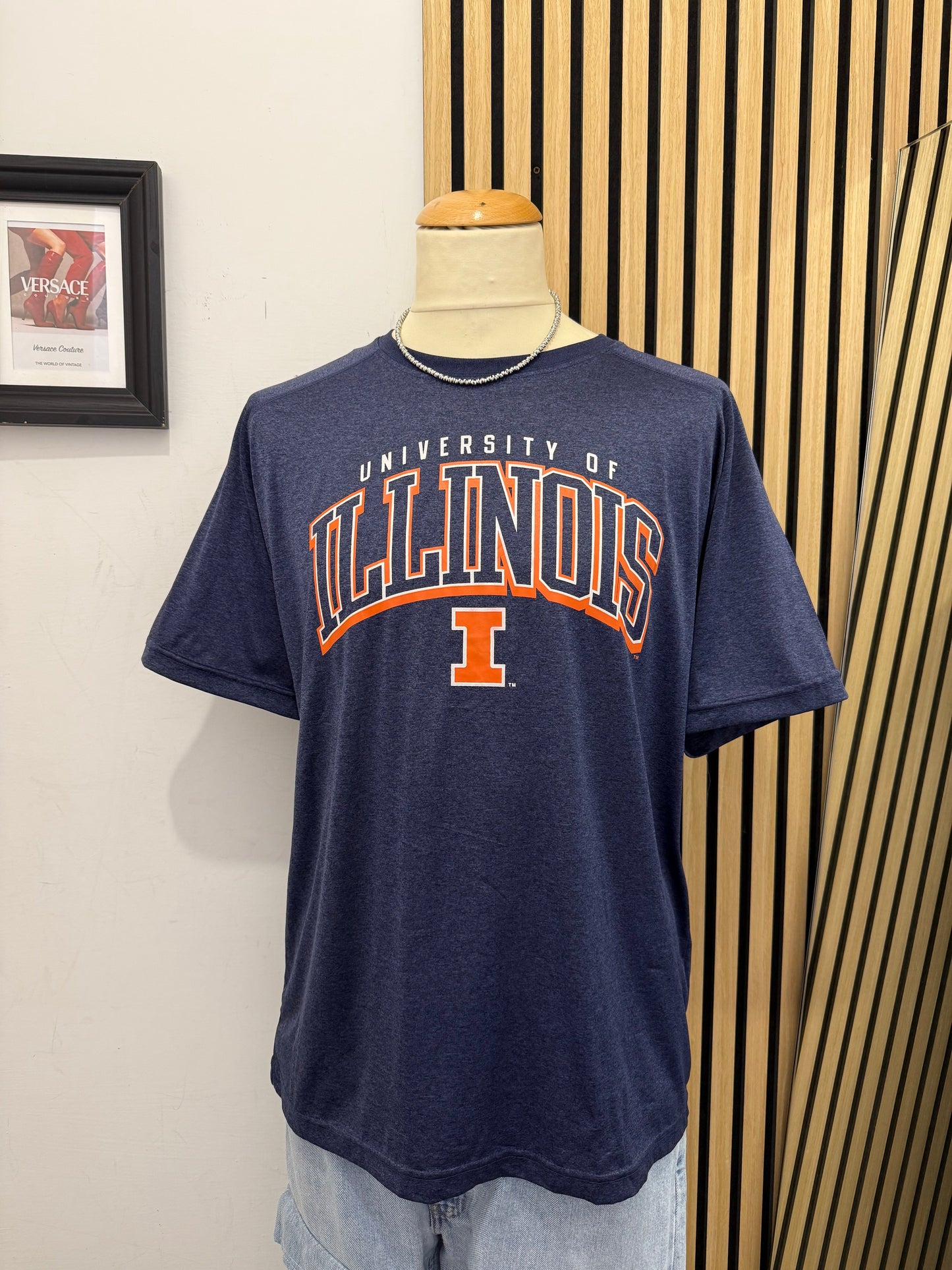 T-Shirt University of Illinois Vintage